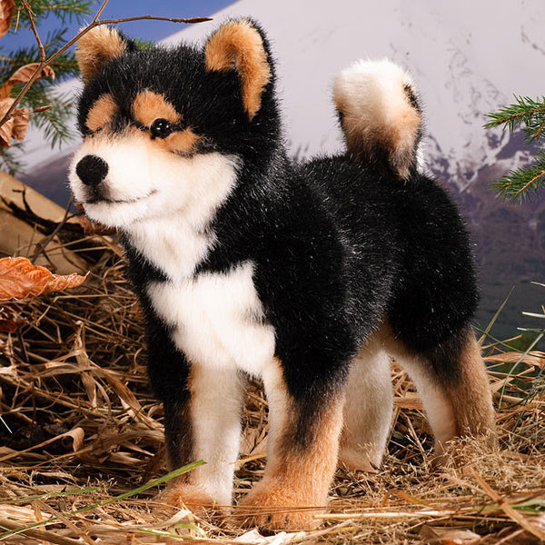 Black shiba best sale inu plush