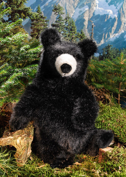 Black bear teddy online