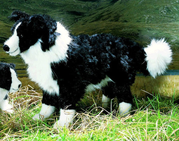 Border Collie by Kosen 44cm Kosen Toys