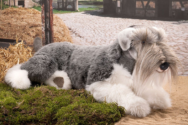 Miniature Schnauzer by Kosen 70cm