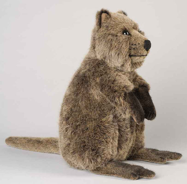 Quokka by Kosen - 30cm