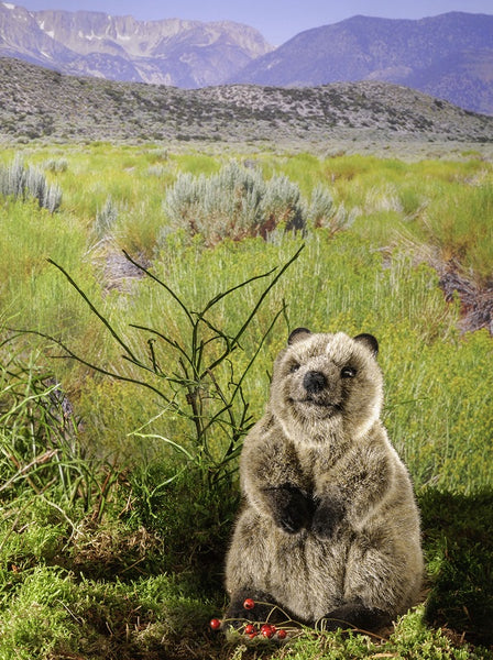 Quokka by Kosen - 17cm