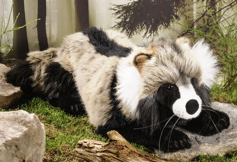 Racoon Dog by Kosen - 50cm