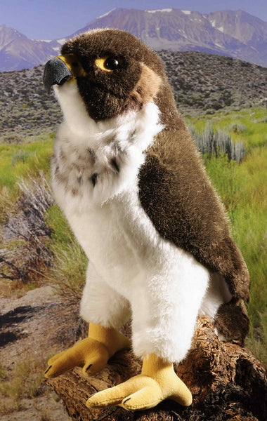 Peregrine Falcon by Kosen - 24cm