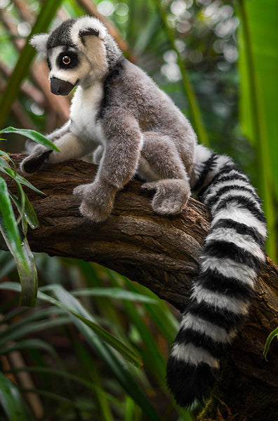 Lemur by Kosen - 30cm