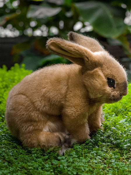 Rabbit, beige by Kosen - 24cm - Kosen Toys