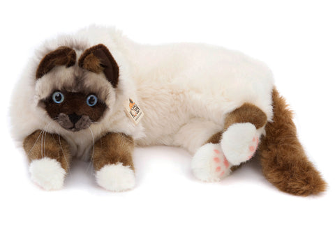 Birman cat by Kosen - 50cm