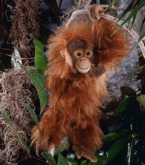 Orangutan by Kosen - 40cm, mohair