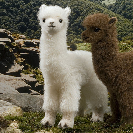 White alpaca by Kosen - 30cm - Kosen Toys