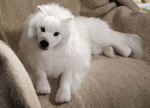 Japanese Spitz by Kosen - 64cm