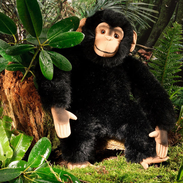 Chimpanzee by Kosen - 40cm