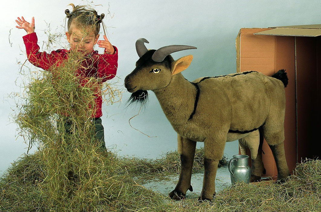 Life size stuffed goat sales