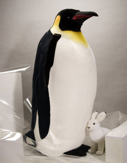 Studio Penguin by Kosen - 133cm