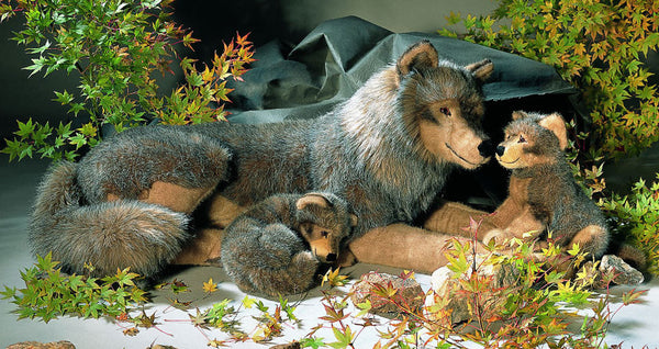 Studio Wolf by Kosen - 124cm