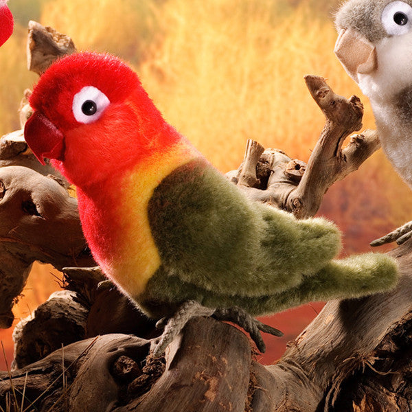 Lovebird by Kosen - 15cm, green