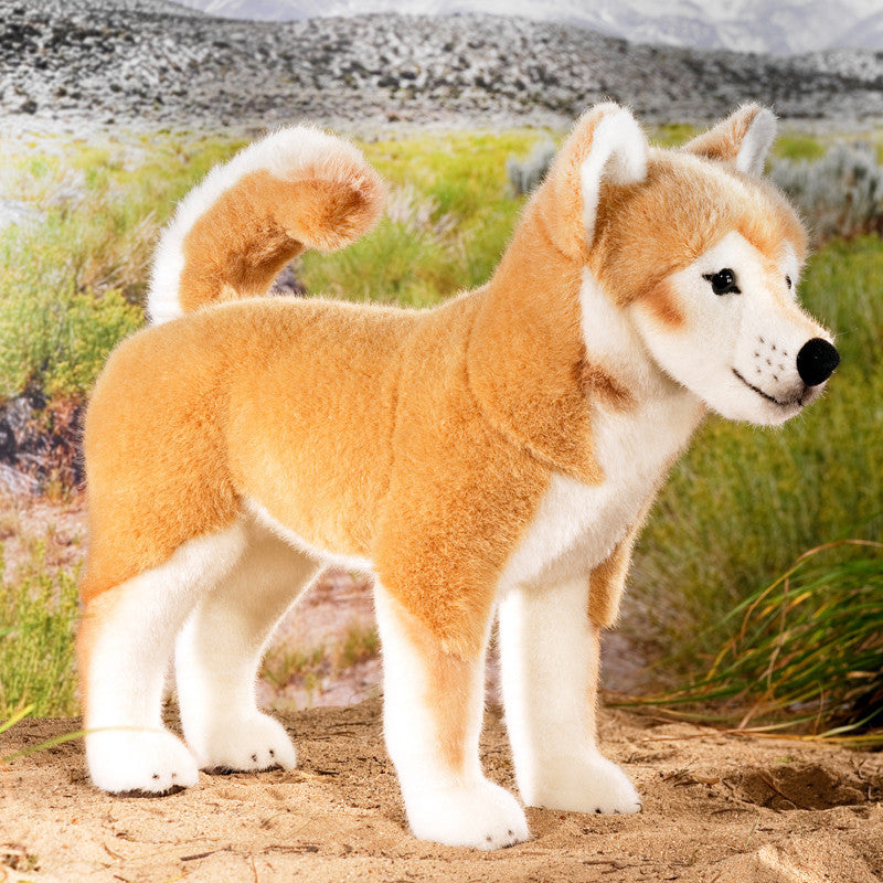 Shiba inu stuffed toy store
