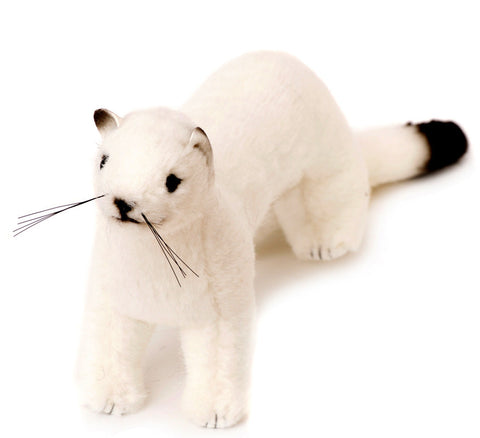 Ermine by Kosen - 29cm