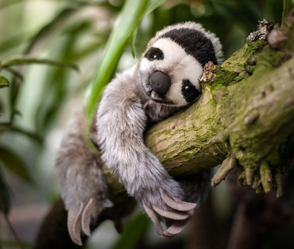 Sloth by Kosen - 35cm, mohair