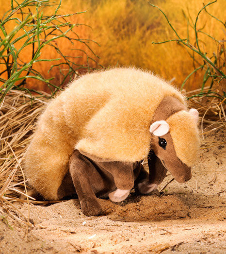 Wild hotsell republic armadillo