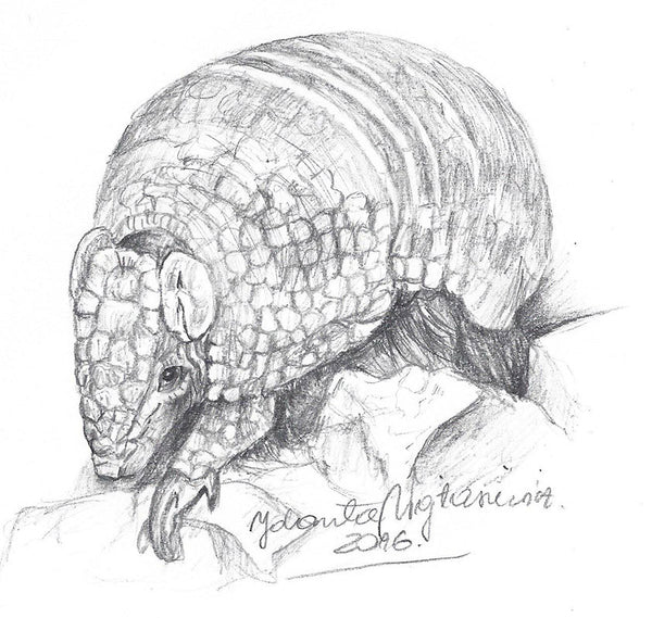 Armadillo by Kosen - 14cm
