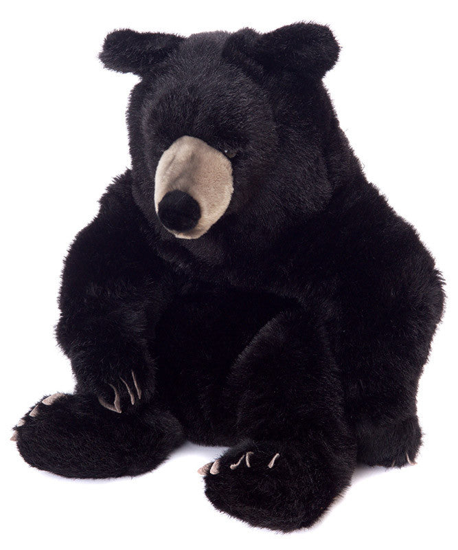 Teddy bear black store