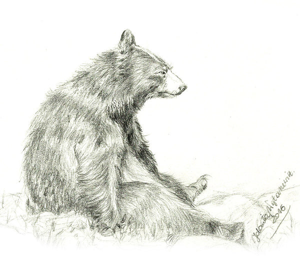 Black bear by Kosen - 70cm