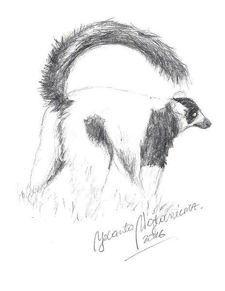 Lemur by Kosen - 52cm