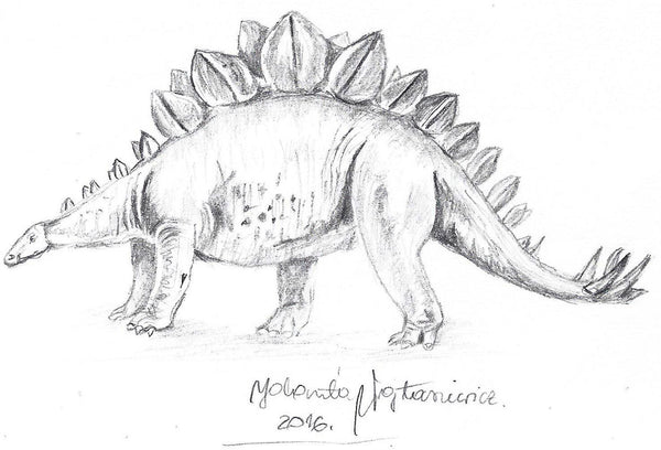 Stegosaurus by Kosen - 43cm