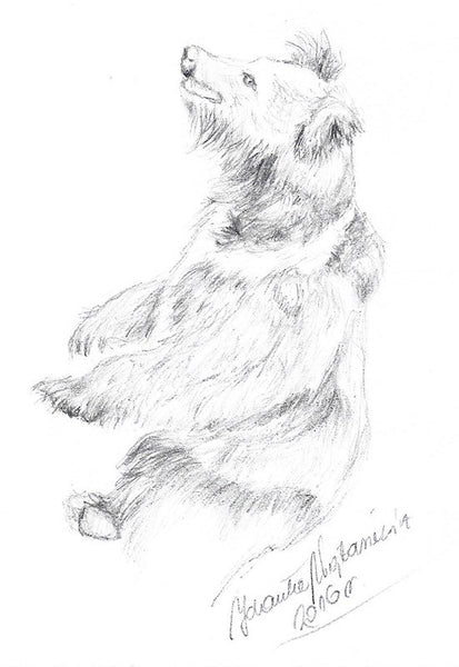 Tibetan bear by Kosen - 23cm