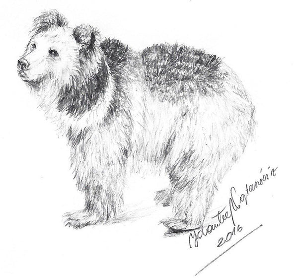 Tibetan bear by Kosen - 23cm