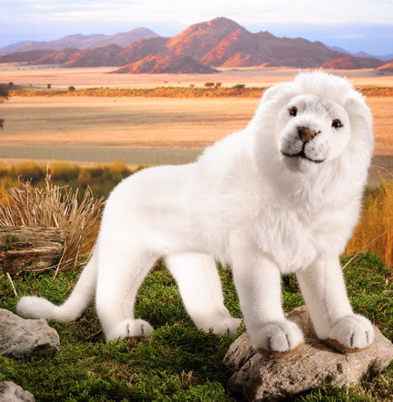 Lion, white by Kosen - 48cm