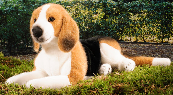 Beagle by Kosen - 38cm