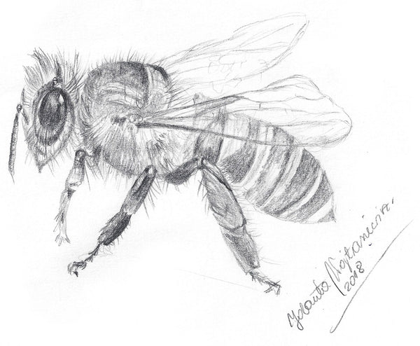 Bee by Kosen - 13cm