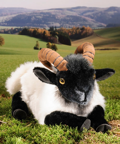 Moorland Sheep by Kosen - 30cm