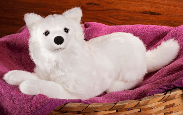 German Spitz by Kosen - 38cm