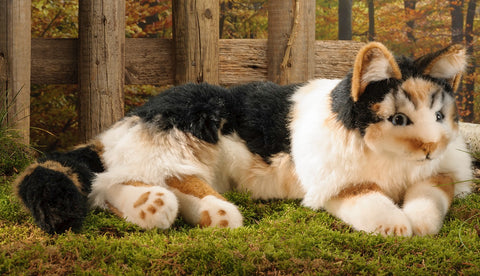 Tortoiseshell Cat by Kosen - 69cm