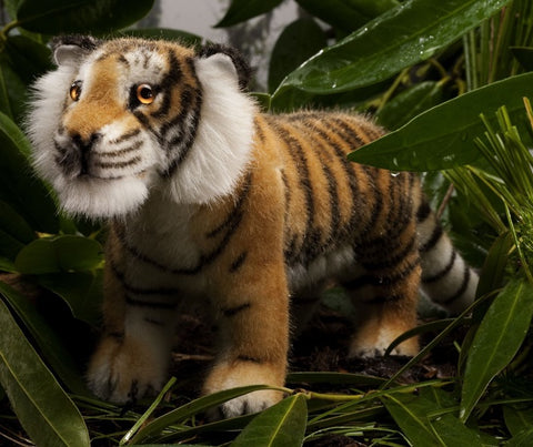 Tiger by Kosen - 33cm