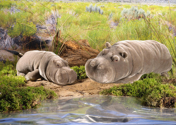 Hippo by Kosen - 52cm