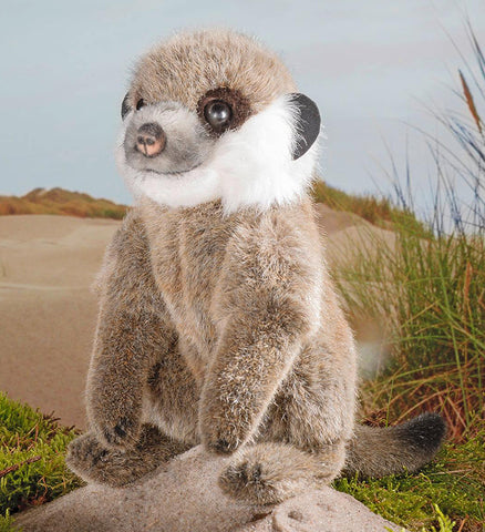 Meerkat Pup by Kosen - 21cm