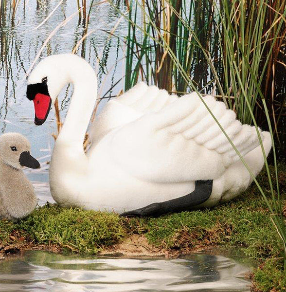 Swan by Kosen - 30cm