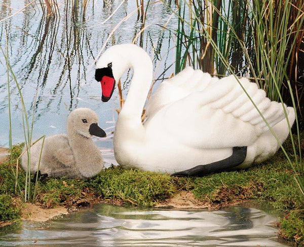 Swan by Kosen - 30cm