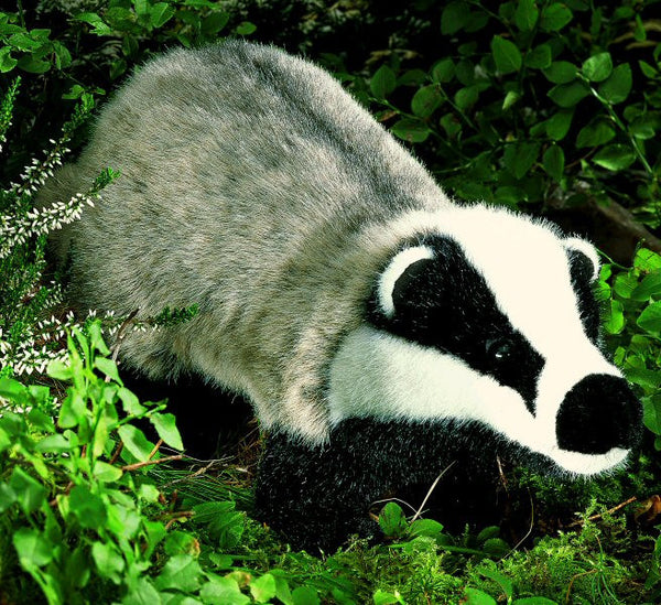 Badger by Kosen - 47cm