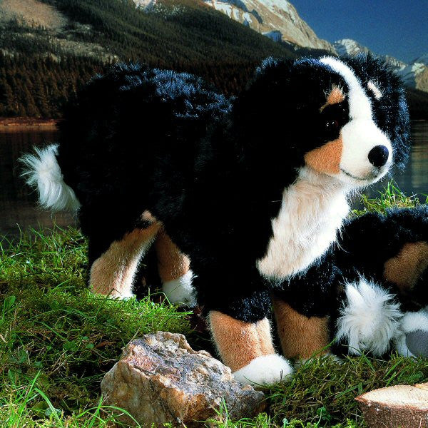 Bernese mountain top dog stuff