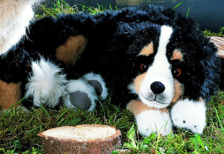 Bernese mountain dog accessories deals