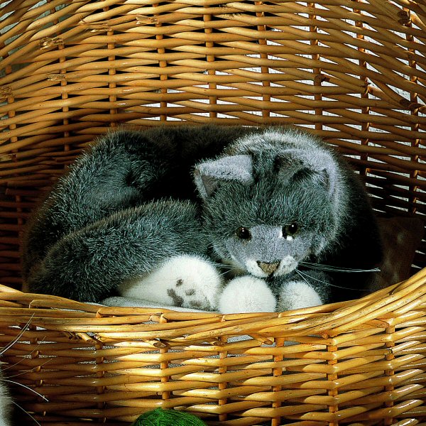 Cat by Kosen - 50cm, grey