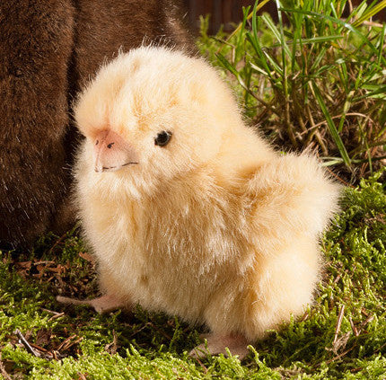 Chick by Kosen - 11cm