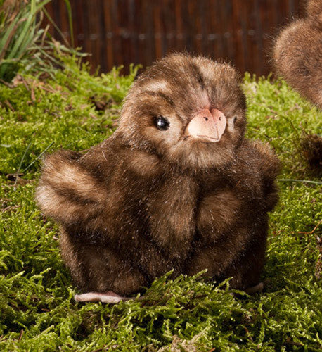 Chick by Kosen - 11cm