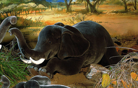 Elephant by Kosen - 100cm