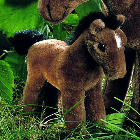 Foal by Kosen - 24cm, brown