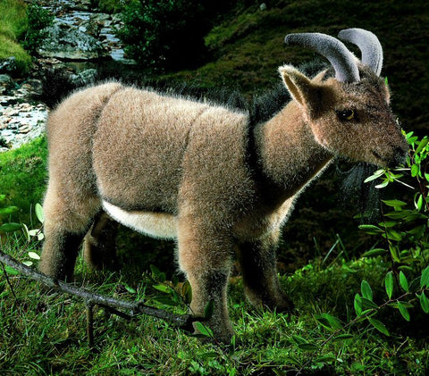 Goat by Kosen - 33cm